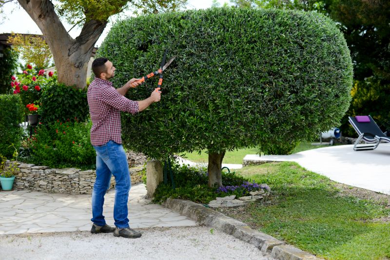 Bush Relocation in Aiken, SC