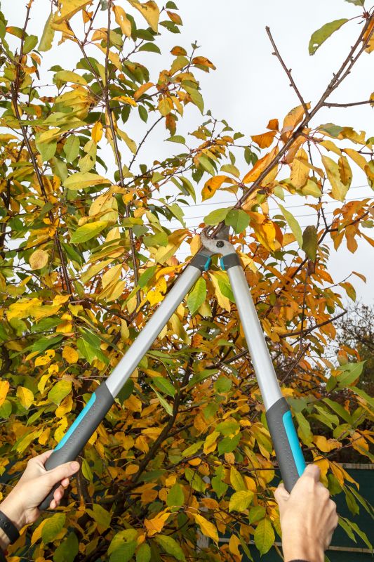 Seasonal Pruning Calendar